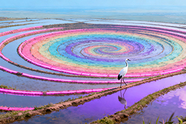 12星座春日游最佳的出游地点是哪里？