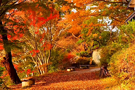 白羊座彻底放弃一个人的表现都有哪些