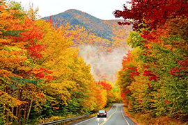 追求白羊座女生的时候千万不能犯的错误